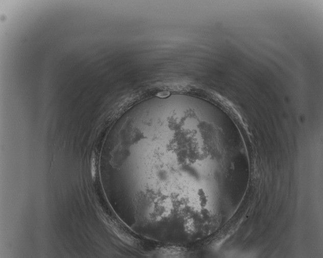 X0000086320069200704091123