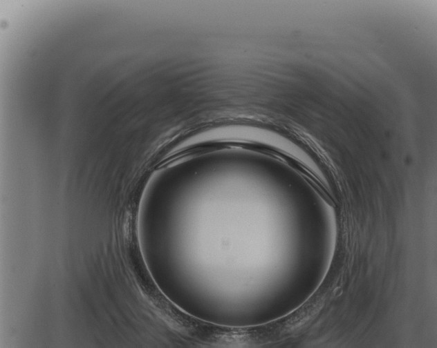 X0000086320071200704091123