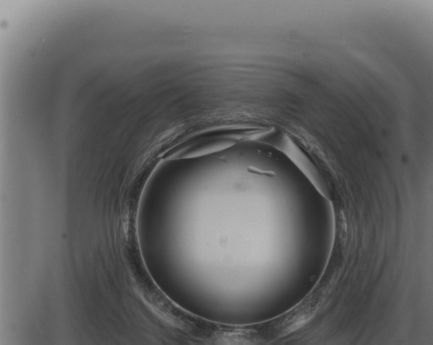 X0000086320072200704091123