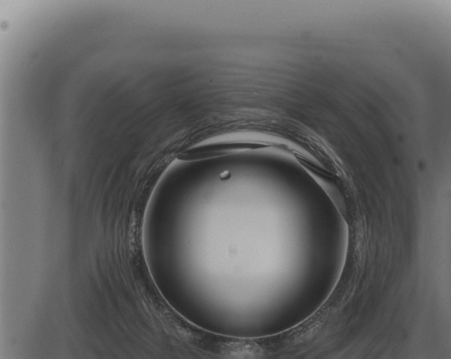 X0000086320073200704091123