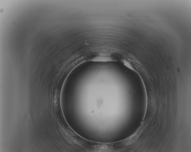 X0000086320074200704091123