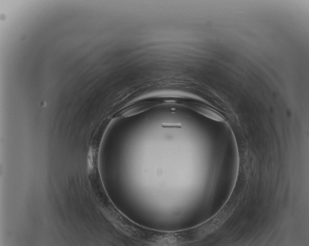 X0000086320075200704091123