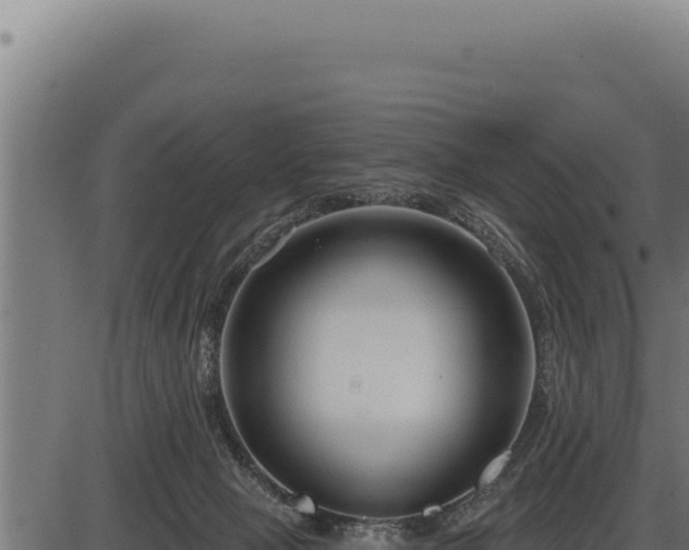 X0000086320077200704091123