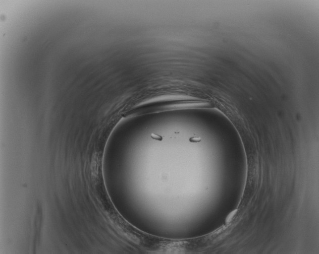 X0000086320078200704091123