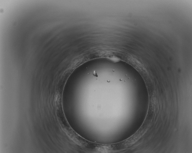 X0000086320079200704091123