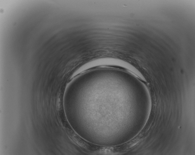 X0000086320080200704091123