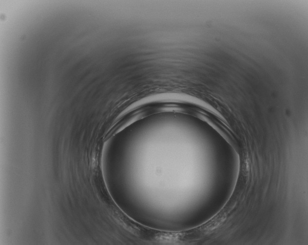 X0000086320084200704091123