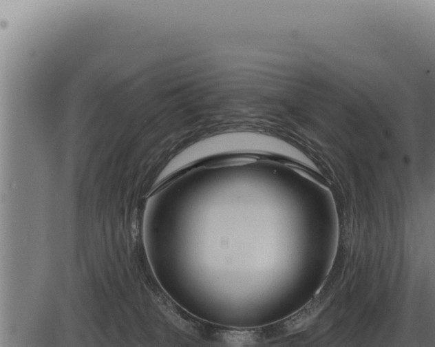 X0000086320085200704091123