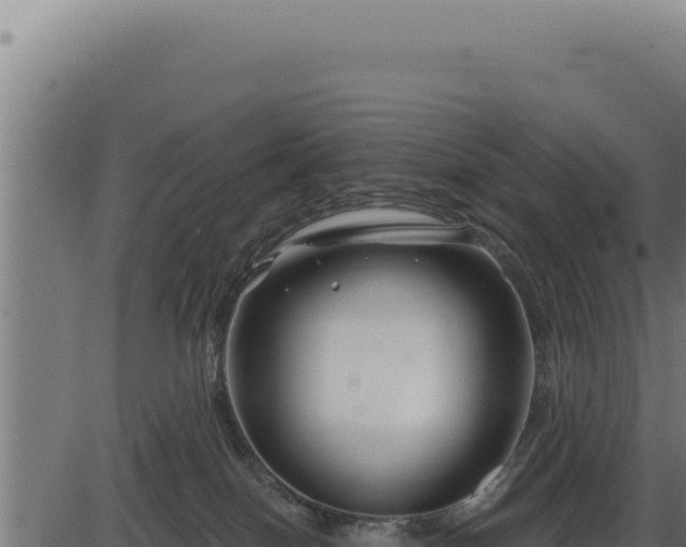 X0000086320086200704091123