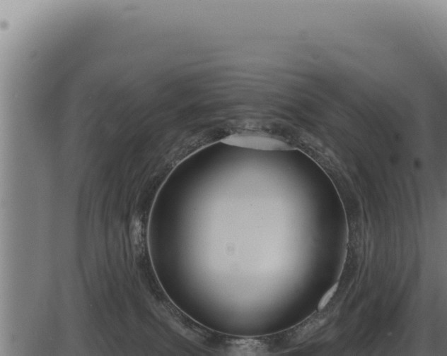 X0000086320087200704091123