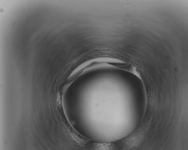 X0000086320089200704091123