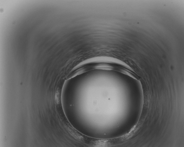 X0000086320090200704091123