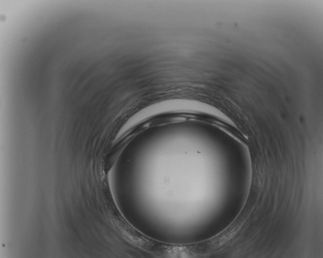 X0000086320091200704091124