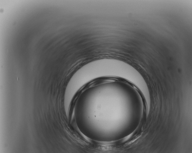 X0000086320092200704091124