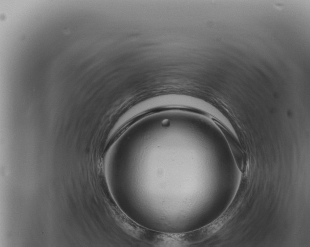 X0000086320093200704091124