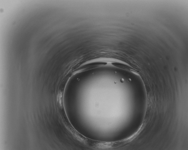 X0000086320094200704091124