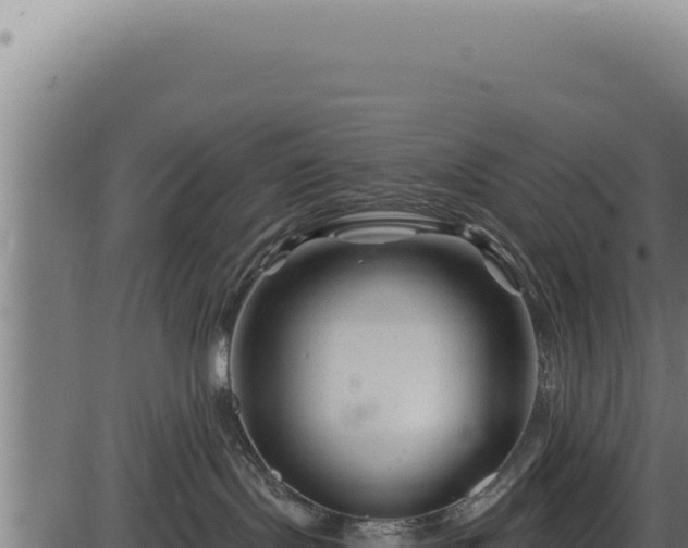 X0000086320095200704091124