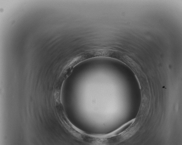 X0000086320096200704091124