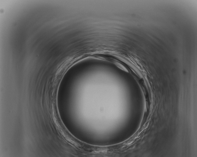 X0000086320097200704091123