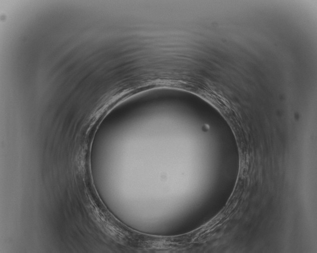 X0000086320098200704091123