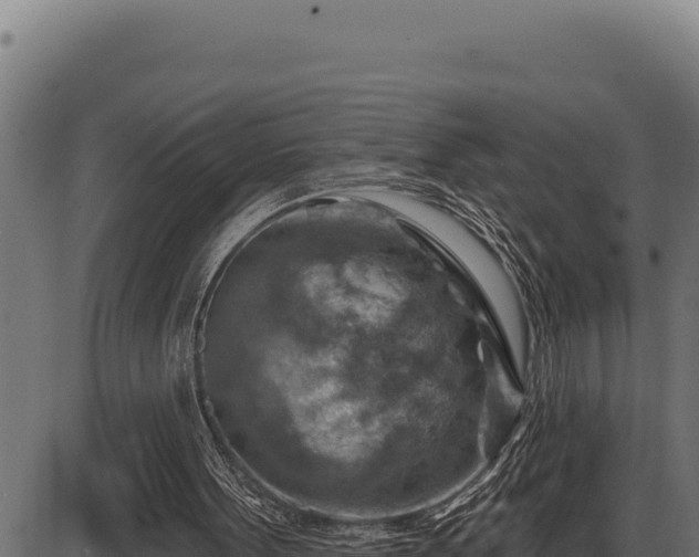 X0000086320099200704091123