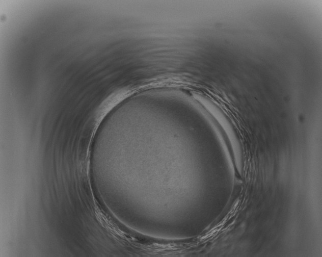 X0000086320100200704091123