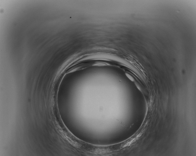 X0000086320101200704091123