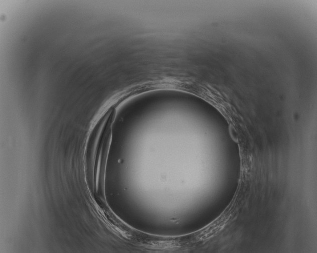 X0000086320102200704091123