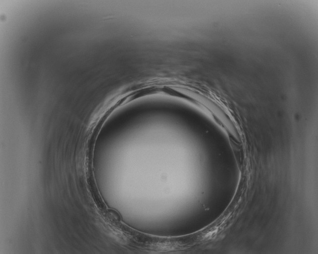 X0000086320103200704091123