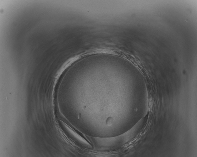 X0000086320104200704091123