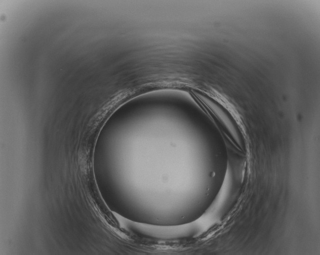 X0000086320105200704091123