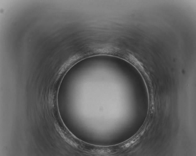 X0000086320106200704091123