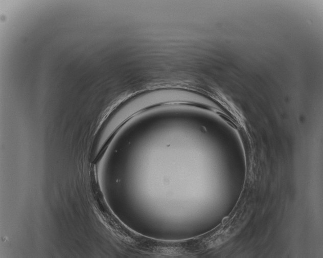 X0000086320107200704091123