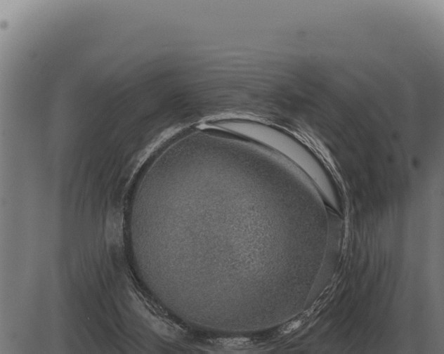 X0000086320108200704091123