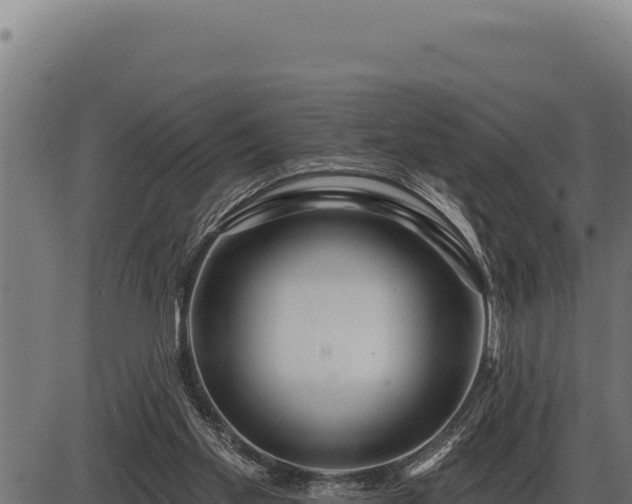 X0000086320109200704091123