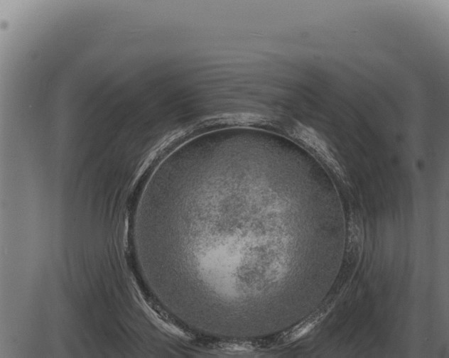 X0000086320110200704091123