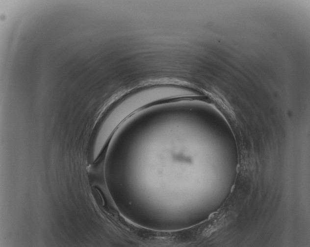 X0000086320111200704091123