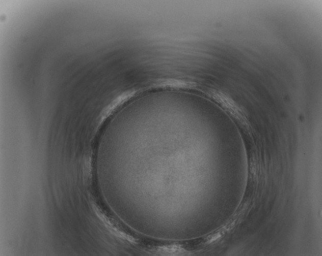 X0000086320112200704091123