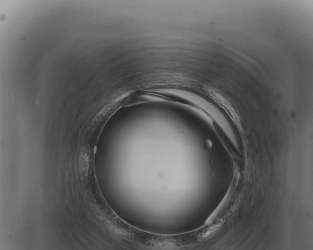 X0000086320113200704091122