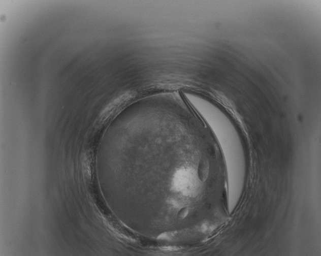 X0000086320114200704091122