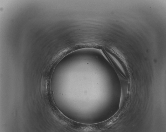 X0000086320115200704091122