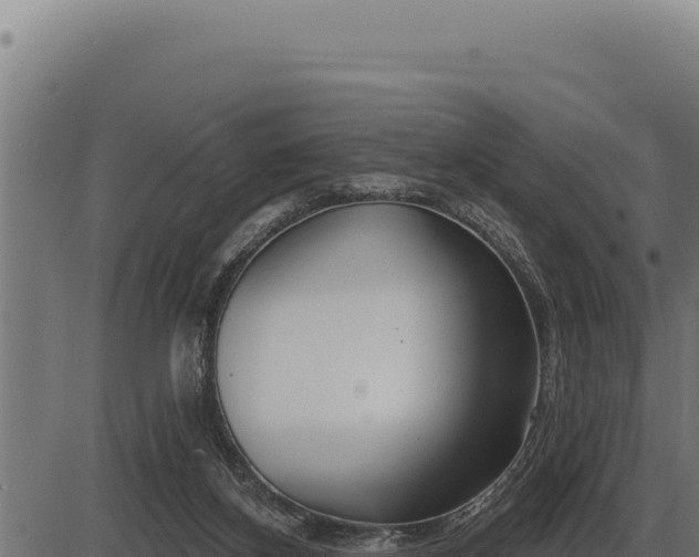 X0000086320116200704091122