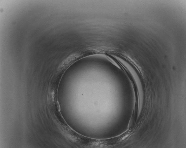 X0000086320117200704091122