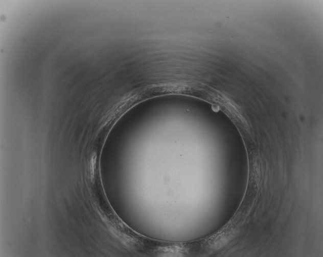 X0000086320118200704091122