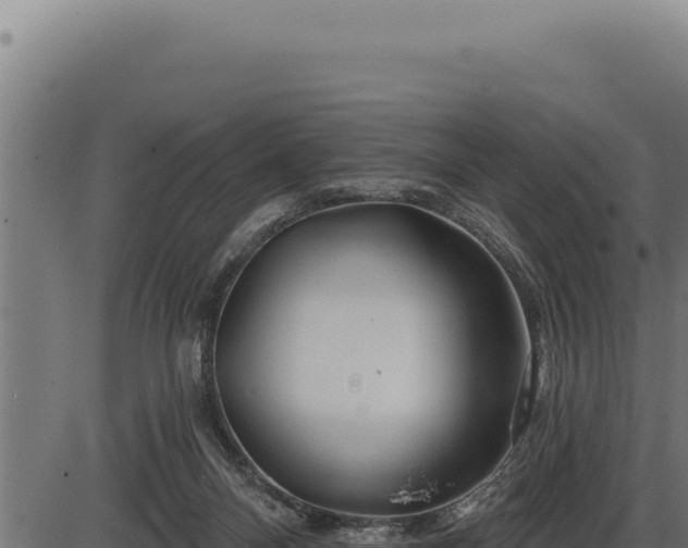 X0000086320120200704091122