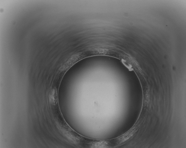 X0000086320122200704091122