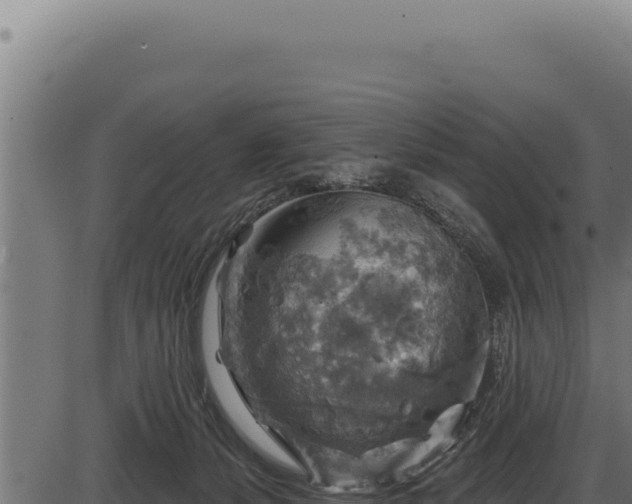 X0000086320127200704091122