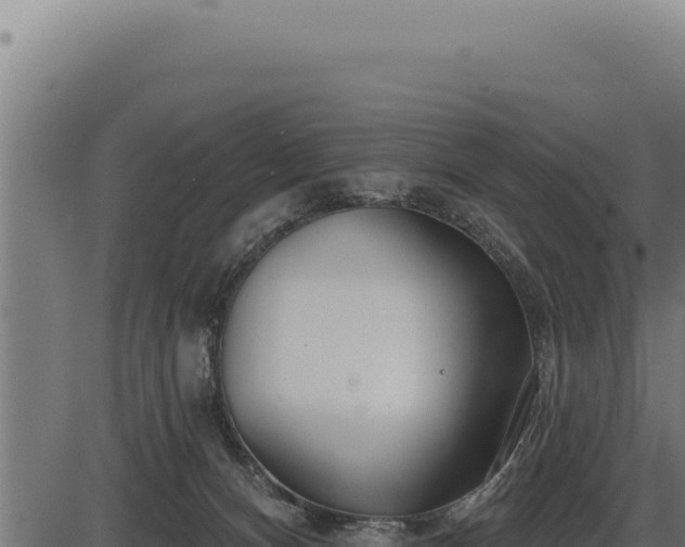 X0000086320128200704091122