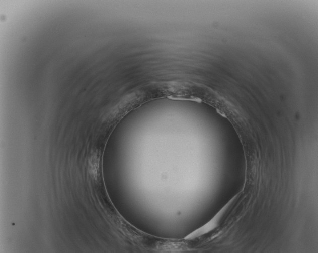 X0000086320129200704091122