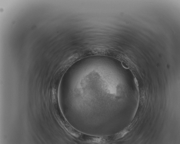 X0000086320130200704091122